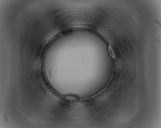 X0000091850533200709191058