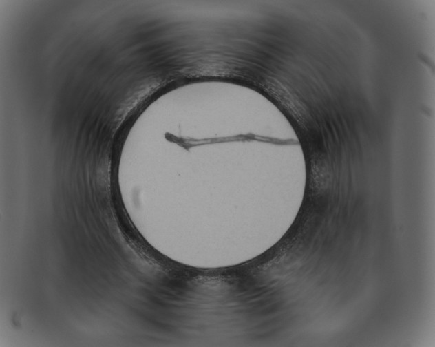 X0000091850534200709191058