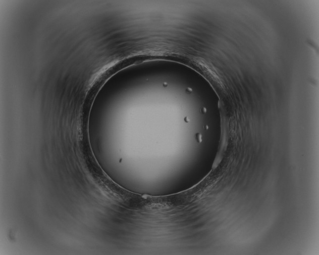 X0000091850536200709191058