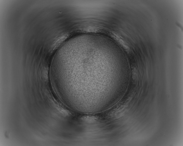 X0000091850537200709191058