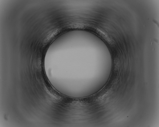 X0000091850538200709191058
