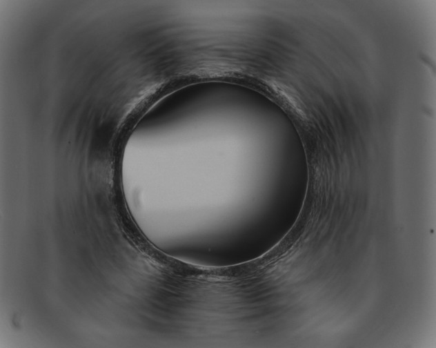 X0000091850539200709191058