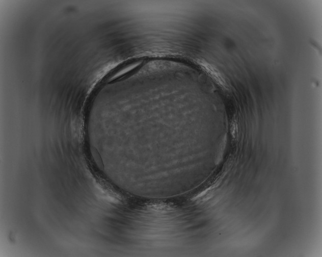 X0000091850540200709191058