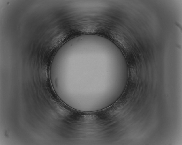 X0000091850541200709191058