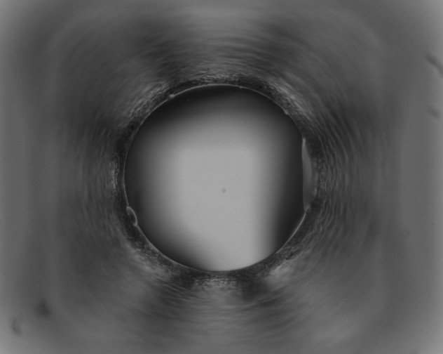 X0000091850546200709191058