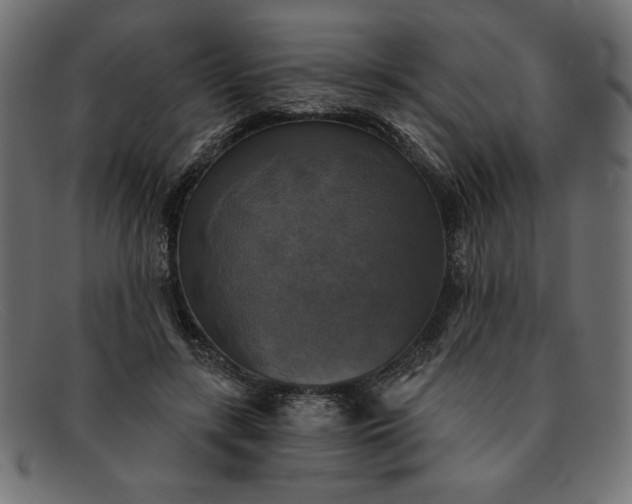 X0000091850547200709191058