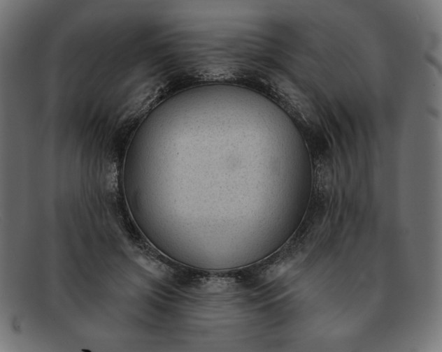 X0000091850549200709191058