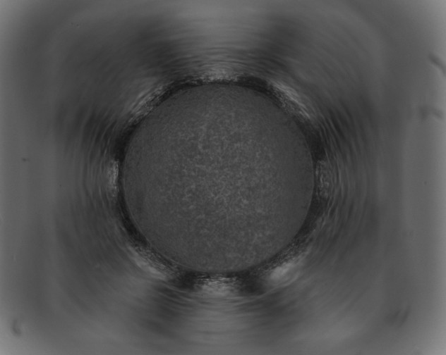 X0000091850550200709191058