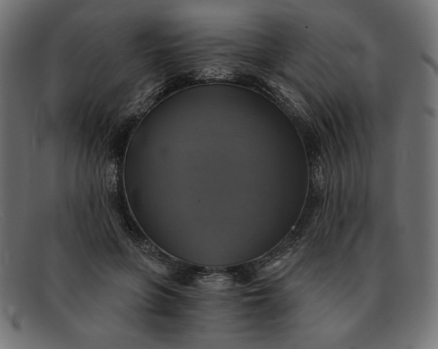 X0000091850551200709191058