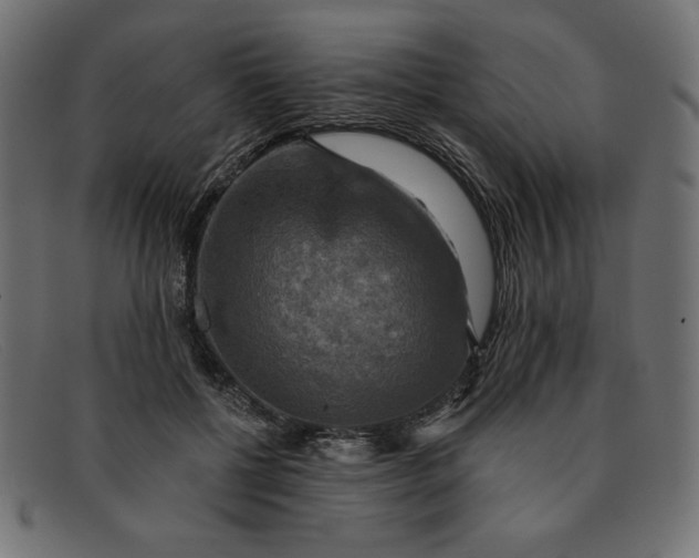 X0000091850552200709191058