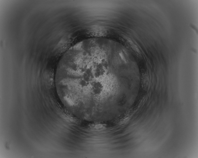 X0000091850553200709191058
