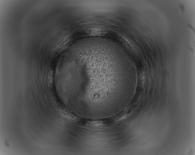 X0000091850554200709191058