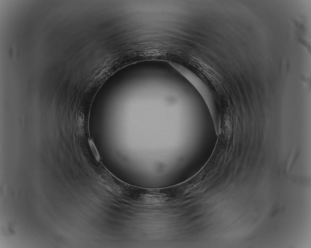 X0000091850556200709191059