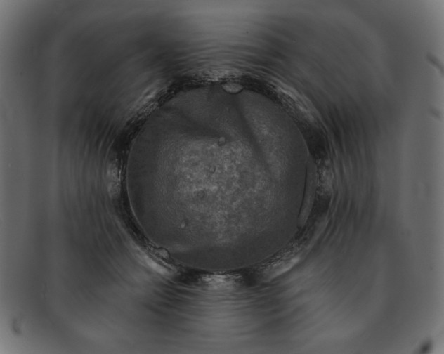 X0000091850558200709191059