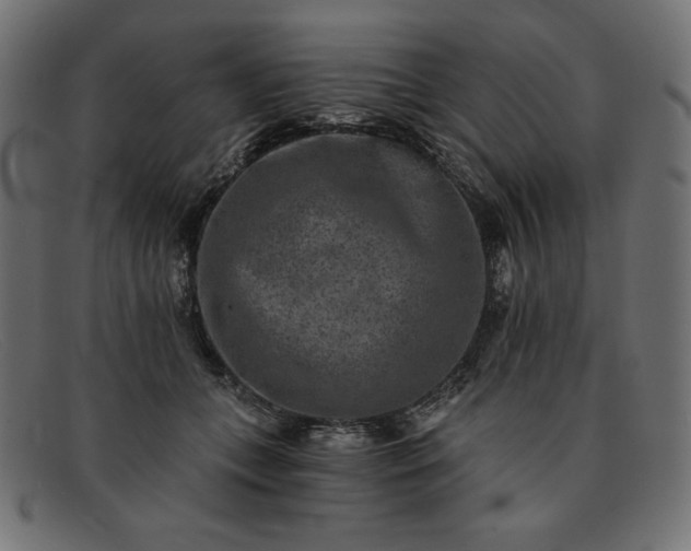 X0000091850559200709191059