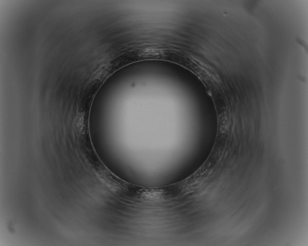 X0000091850560200709191059