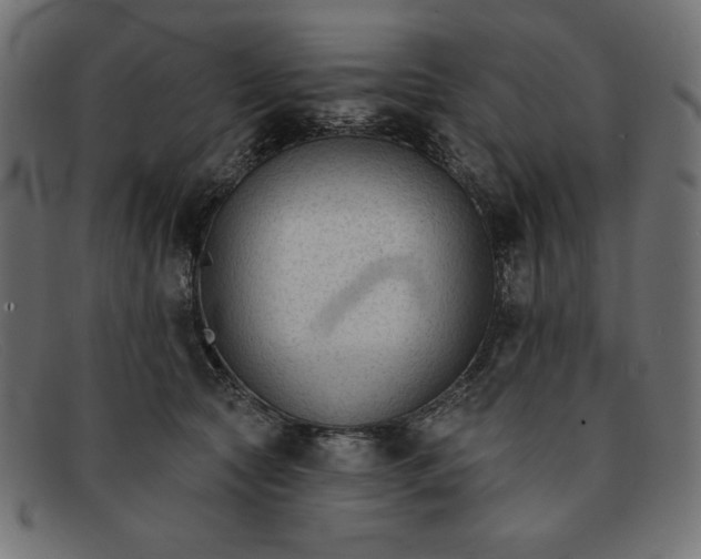 X0000091850561200709191059