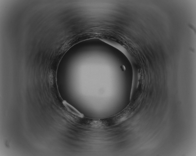 X0000091850562200709191059