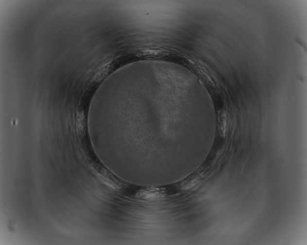 X0000091850563200709191059