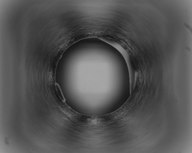X0000091850564200709191059