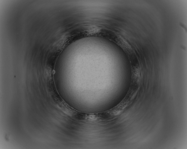 X0000091850565200709191059