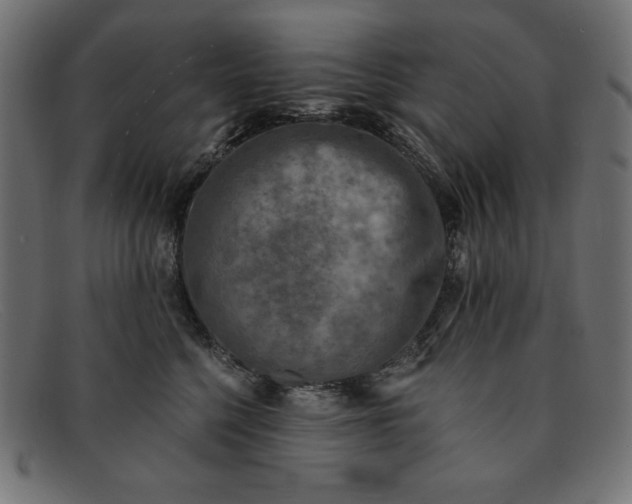 X0000091850568200709191059