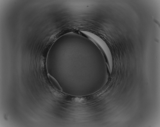 X0000091850570200709191059