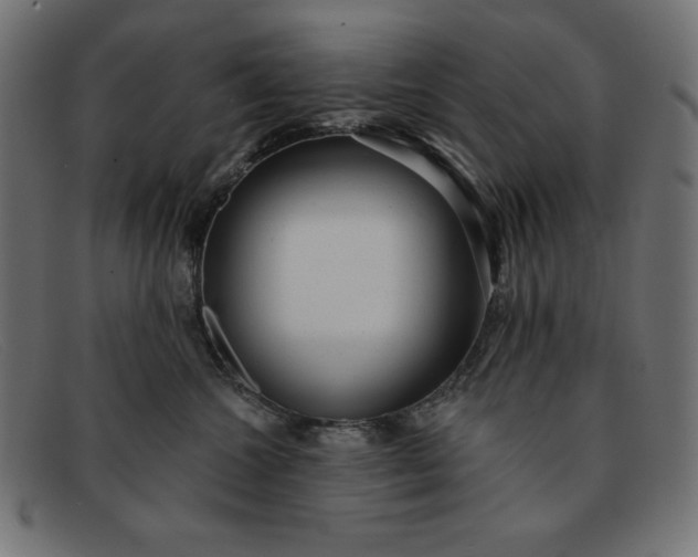X0000091850572200709191059