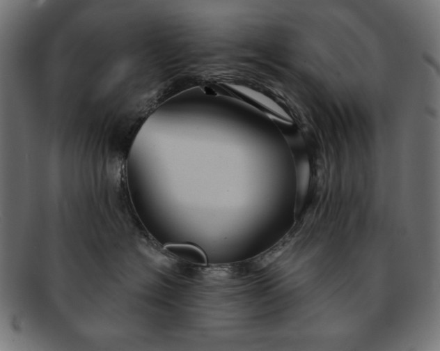 X0000091850574200709191059