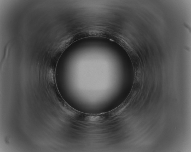 X0000091850575200709191059