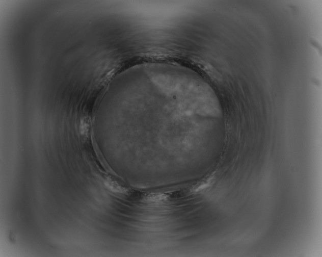 X0000091850576200709191059