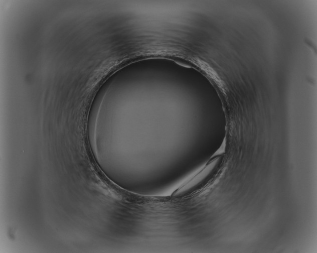 X0000091850577200709191058