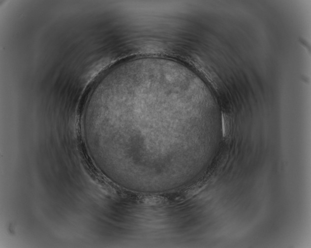 X0000091850579200709191058