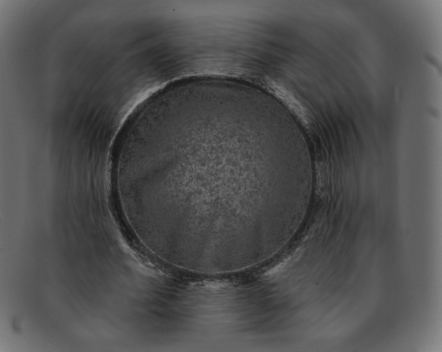 X0000091850580200709191058