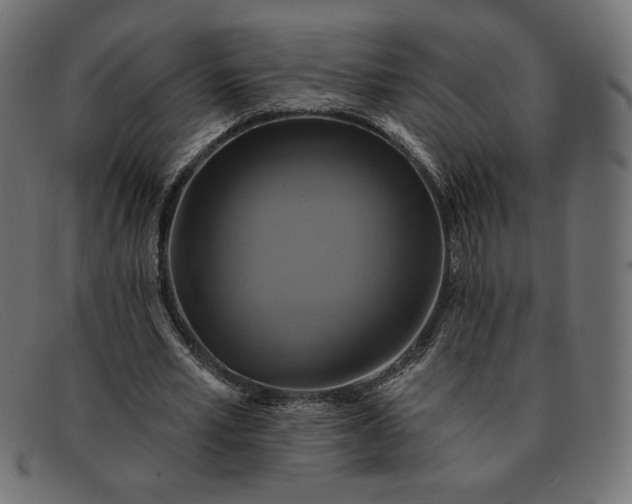 X0000091850581200709191058