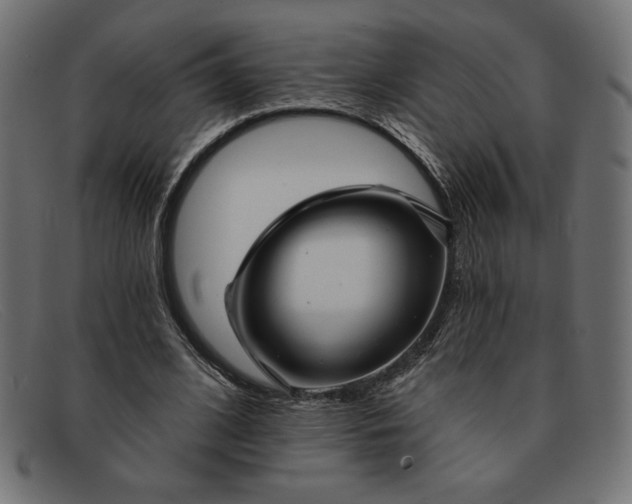 X0000091850584200709191058