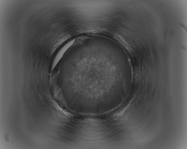 X0000091850585200709191058