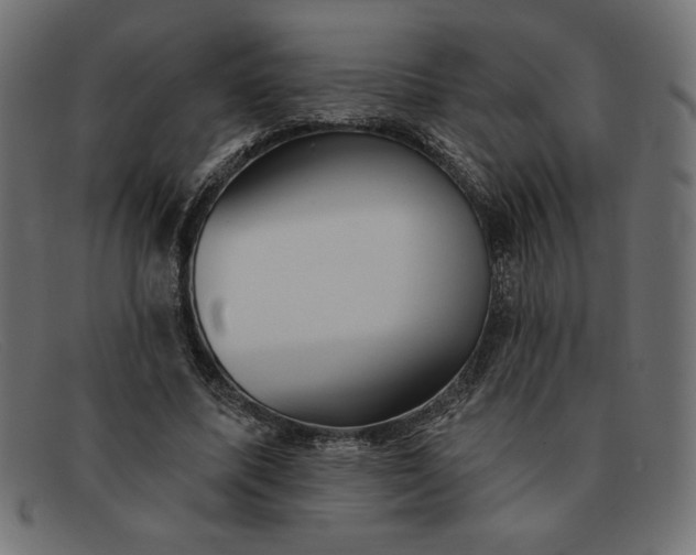 X0000091850587200709191058