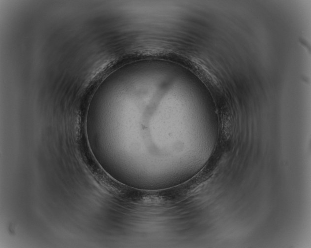 X0000091850591200709191058