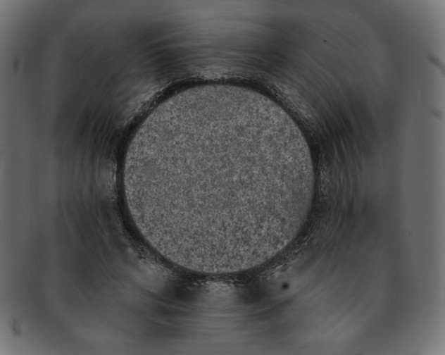 X0000091850592200709191058