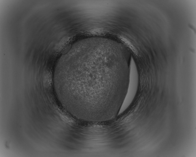 X0000091850593200709191058