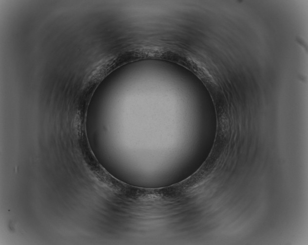 X0000091850594200709191058