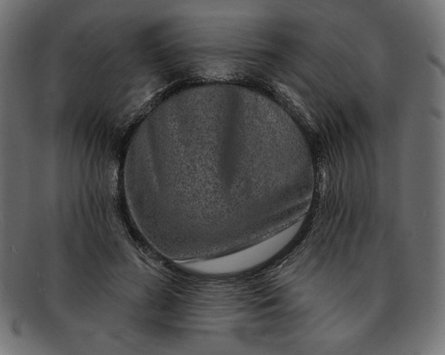 X0000091850596200709191058