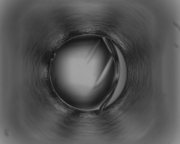 X0000091850597200709191058