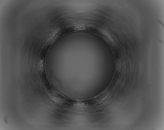 X0000091850598200709191058