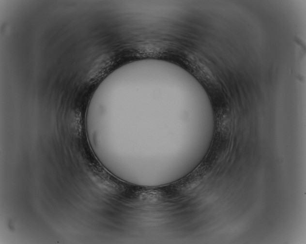 X0000091850599200709191058