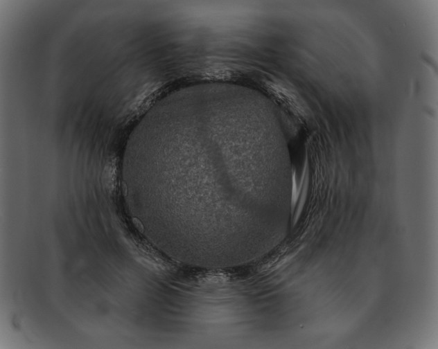 X0000091850600200709191058