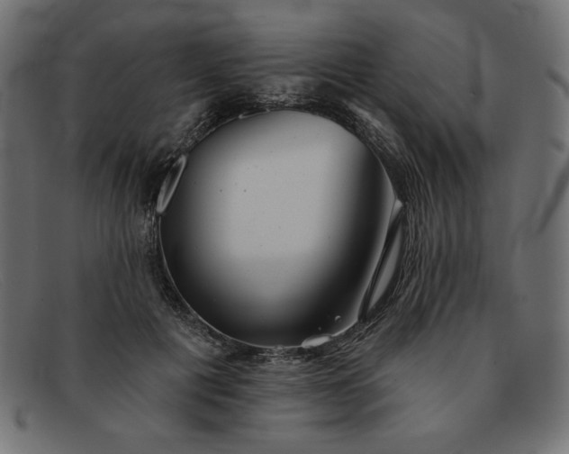 X0000091850601200709191058