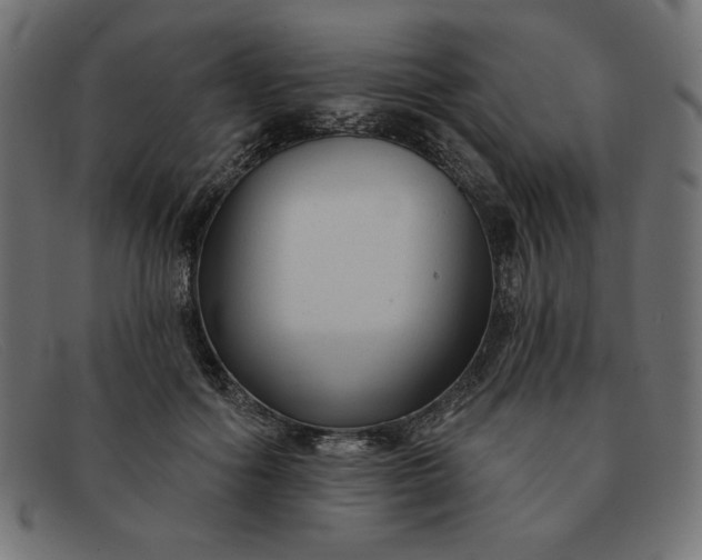 X0000091850602200709191058