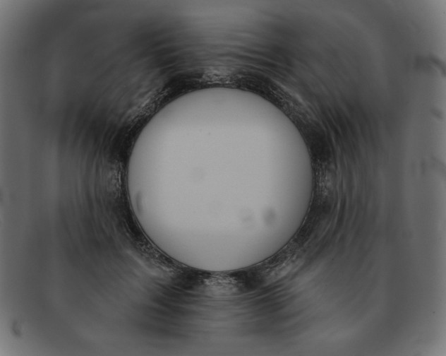 X0000091850603200709191058